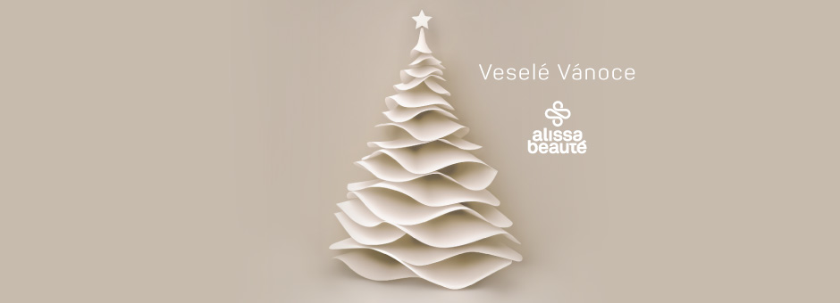 FB cover Vánoce 2025 ČJ